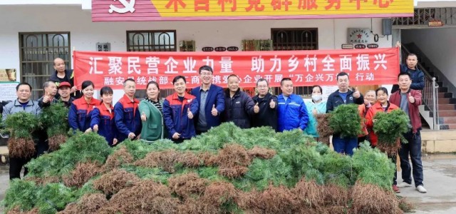 以树助力乡村振兴，7万株香杉苗赠村民