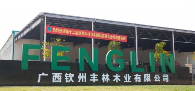 钦州市委副书记、市长王雄昌一行到钦州丰林调研考察
