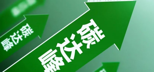 《林产工业企业碳中和实施指南》团体标准发布！丰林集团参与起草，助力“双碳”目标