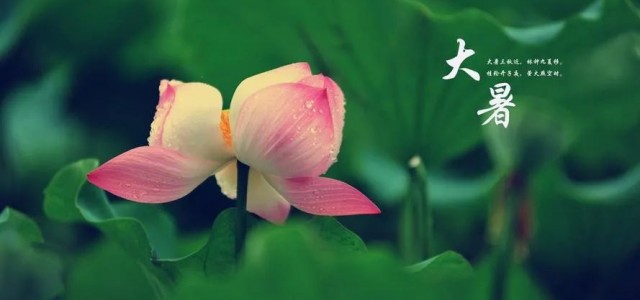大暑至 | 安氏亚森板材让家与清凉邂逅